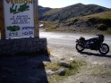Allos_01