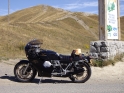 Allos_02