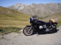 Allos_03