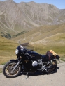 Allos_04