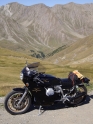 Allos_05