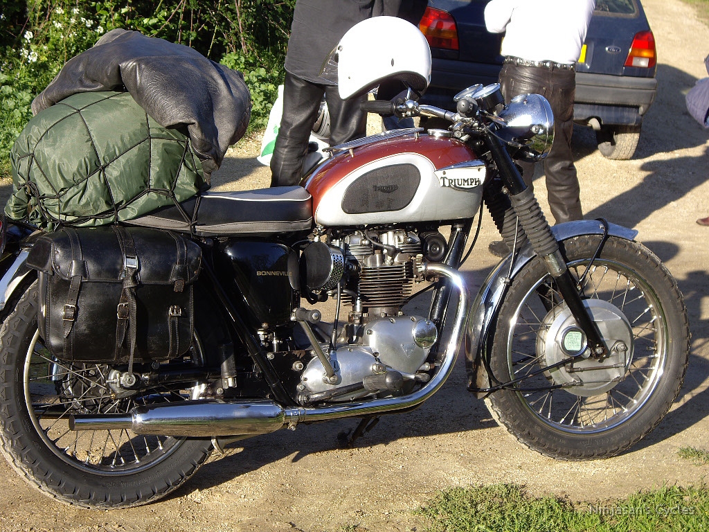 Triumph1.jpg - Triumph Bonneville